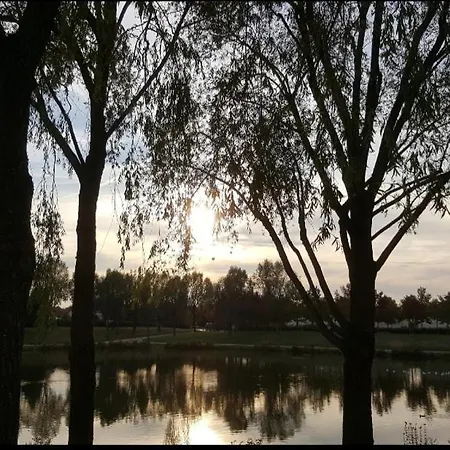 La Magie Disney A 5 Min Superbe & Cosy 4 Personnes